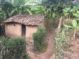 Vulnerable families don't have television or radio