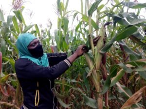 KUBAHIRIZA AMABWIRIZA