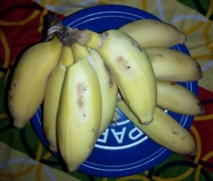 IMG-20210916-WA0001