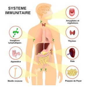 systeme-immunitaire