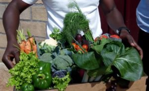 alimentation riche en minéraux