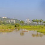Urban Forestry at the Heart of Rwanda’s Climate Resilience