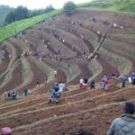 Ngororero: Terraces Help Residents Cope with Climate Change