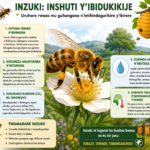 Inzuki: umufatanyabikorwa w’ingenzi mu kurwanya imihindagurikire y’ikirere
