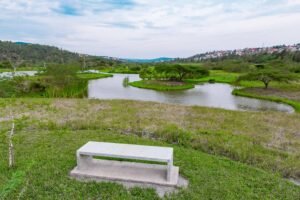 img 7243