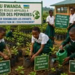 Au Rwanda, les écoles appelées à créer des pépinières pour sensibiliser les enfants à la protection de l’environnement