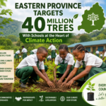 Eastern province targets 40 million trees, with schools at the heart of climate action