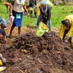 Rwamagana : L’assurance agricole, un moyen de protéger les agriculteurs contre les pertes liées aux catastrophes