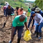 Rwamagana: Agricultural insurance expected to protect farmers from disaster related losses